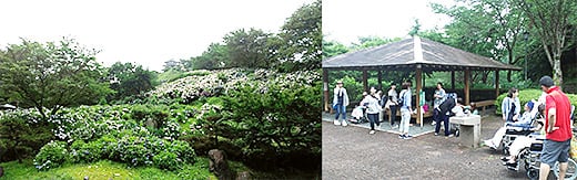 紫陽花散歩教室の様子-3.jpg
