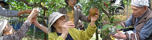 りんご・なし・ぶどう狩り教室の様子-3