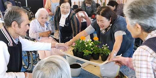 花の苗植えの様子-4