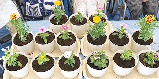 花の苗植えの様子-6