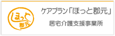 ケアプラン ほっと郡元