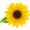 大暑